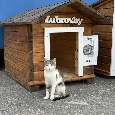 деревянная будка для животных